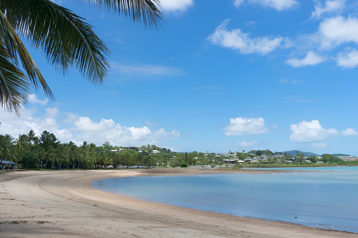 A Beach With A Palm Tree In The Foreground And A Body Of Water In The Background — Porta-Vac in Airlie Beach, QLD