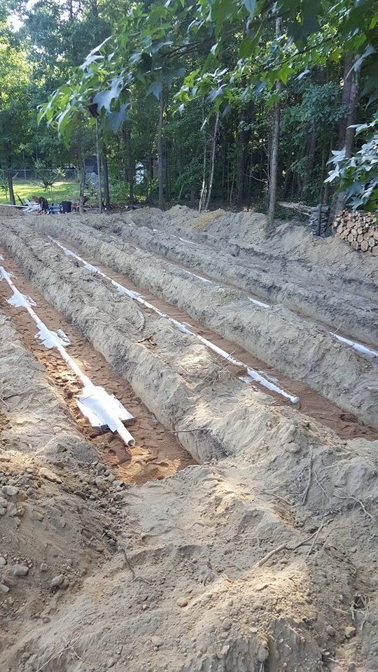 Rows of trenches with white pipes in a garden setting, likely for irrigation or drainage.