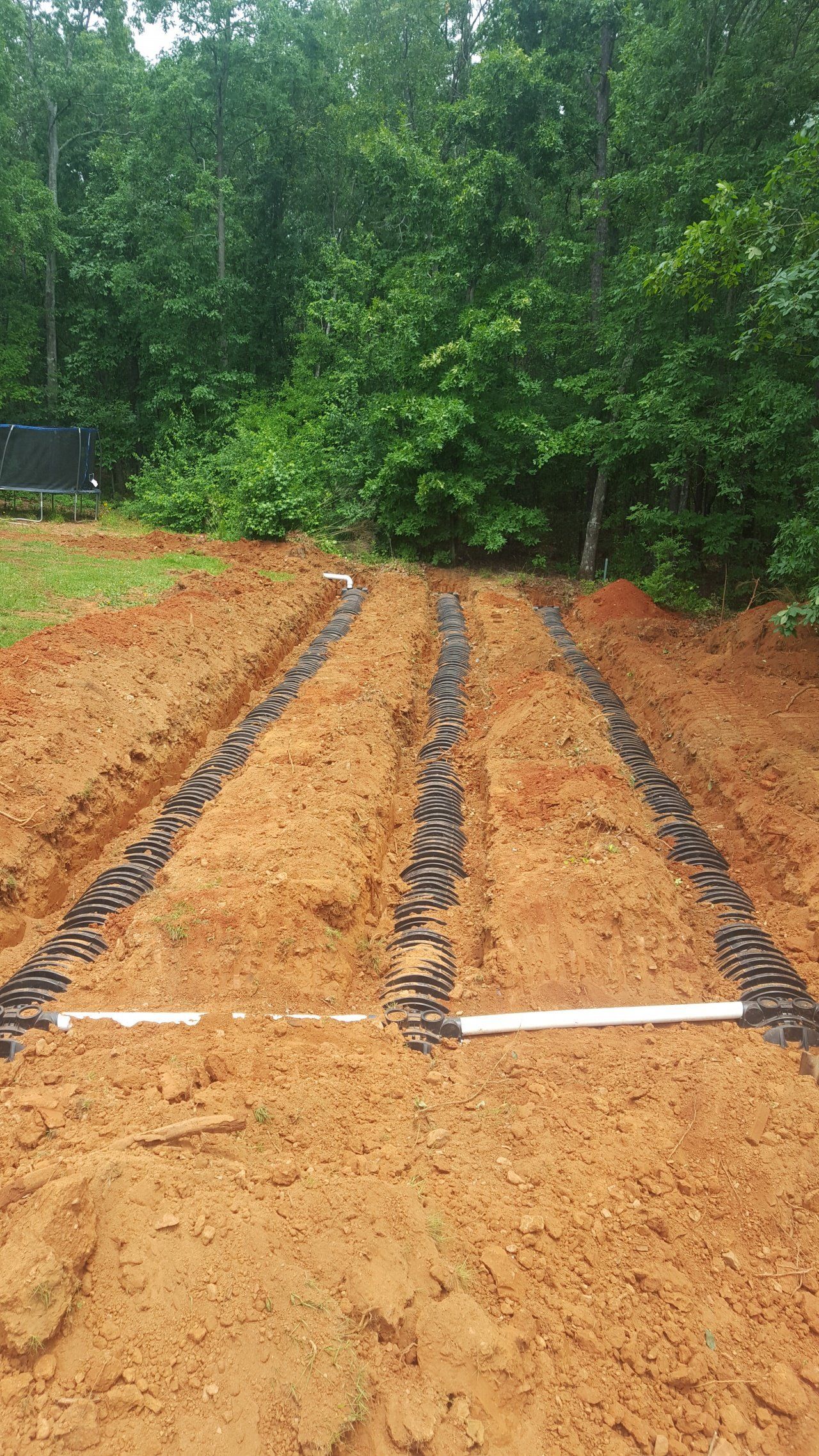 Rows of dug trenches with black irrigation lines in an outdoor garden setting.