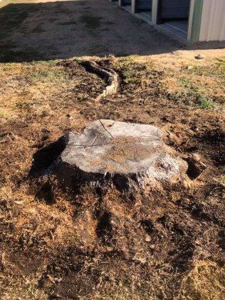 Stump grinding