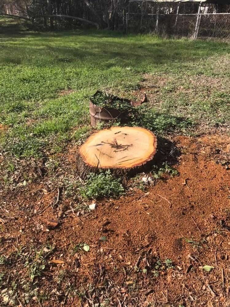 Stump grinding