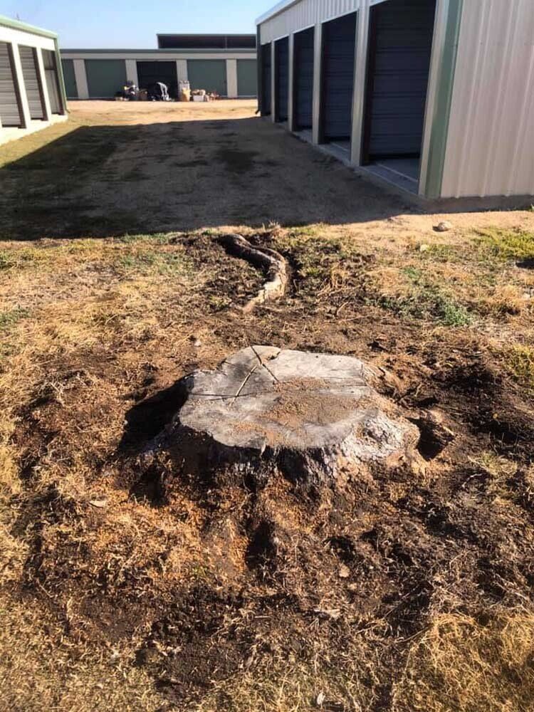 Stump grinding