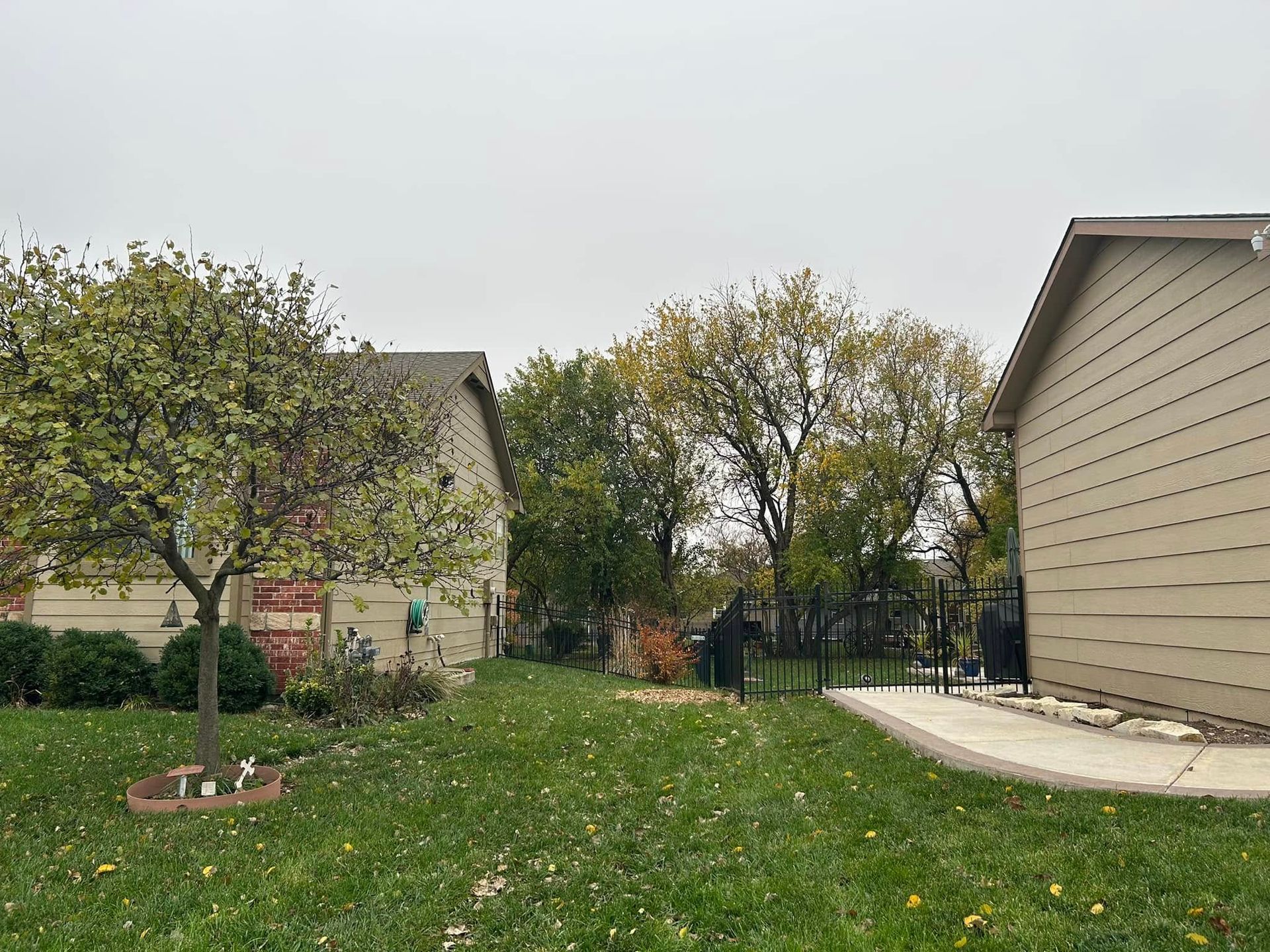 Suburban backyard with trees, lawn, and beige houses under an overcast sky