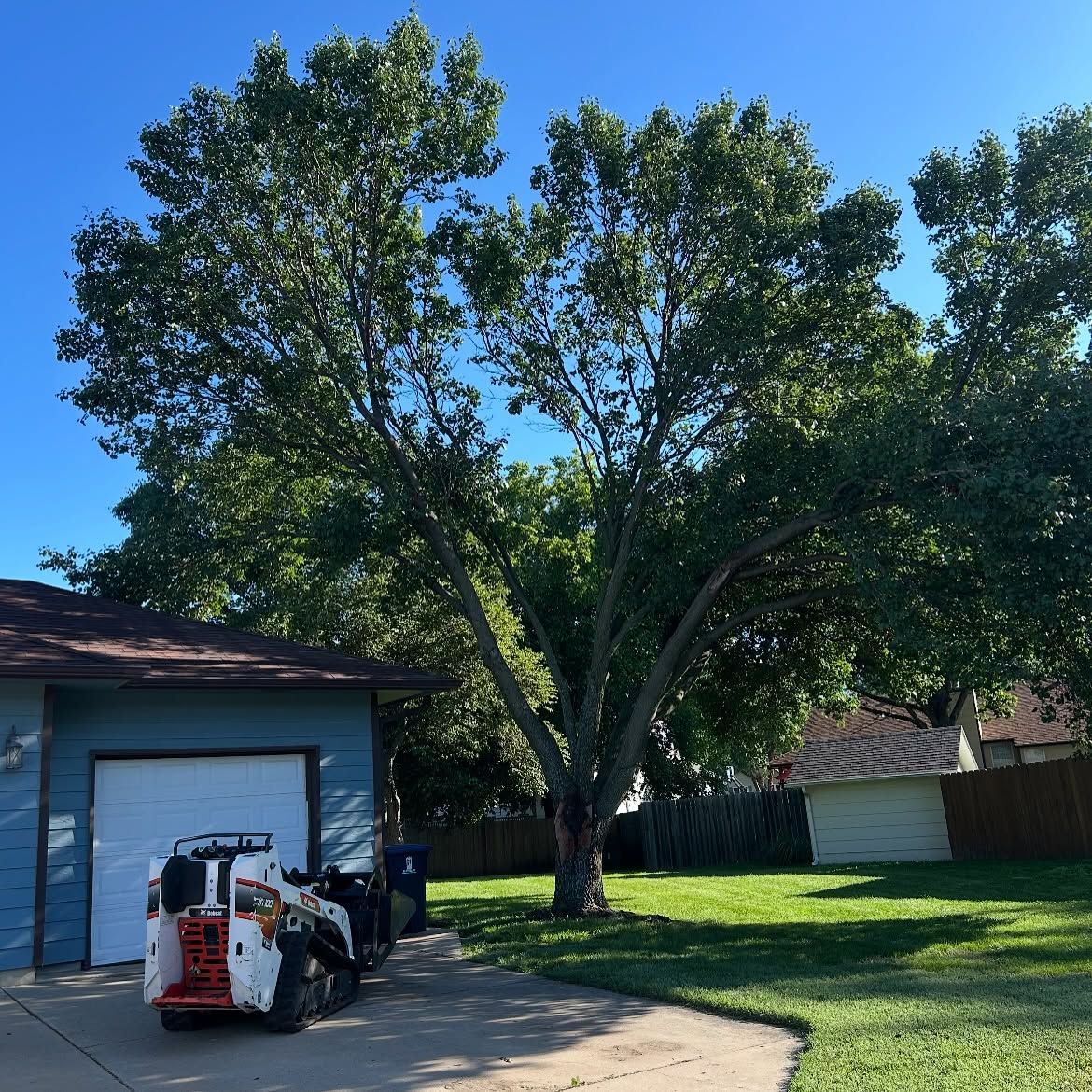 Backyard with large tree beside a blue garage, lawn, and a small utility machine in front.