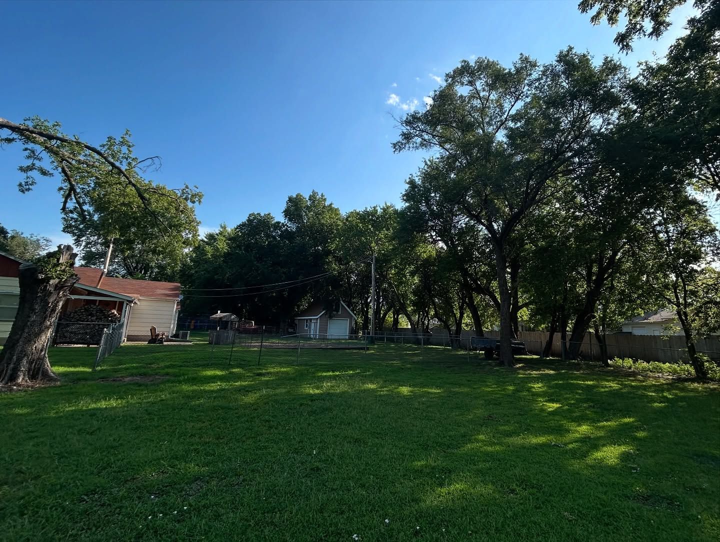 Sunny grassy park with large trees and a small building under a blue sky
