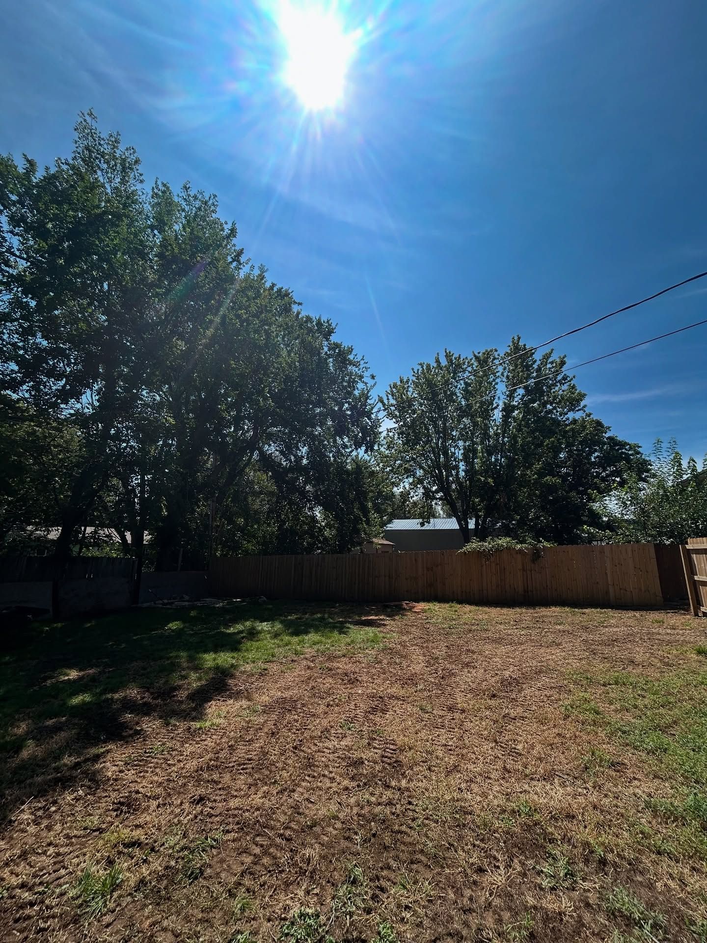 Sunny backyard with grass, trees, wooden fence, and clear blue sky
