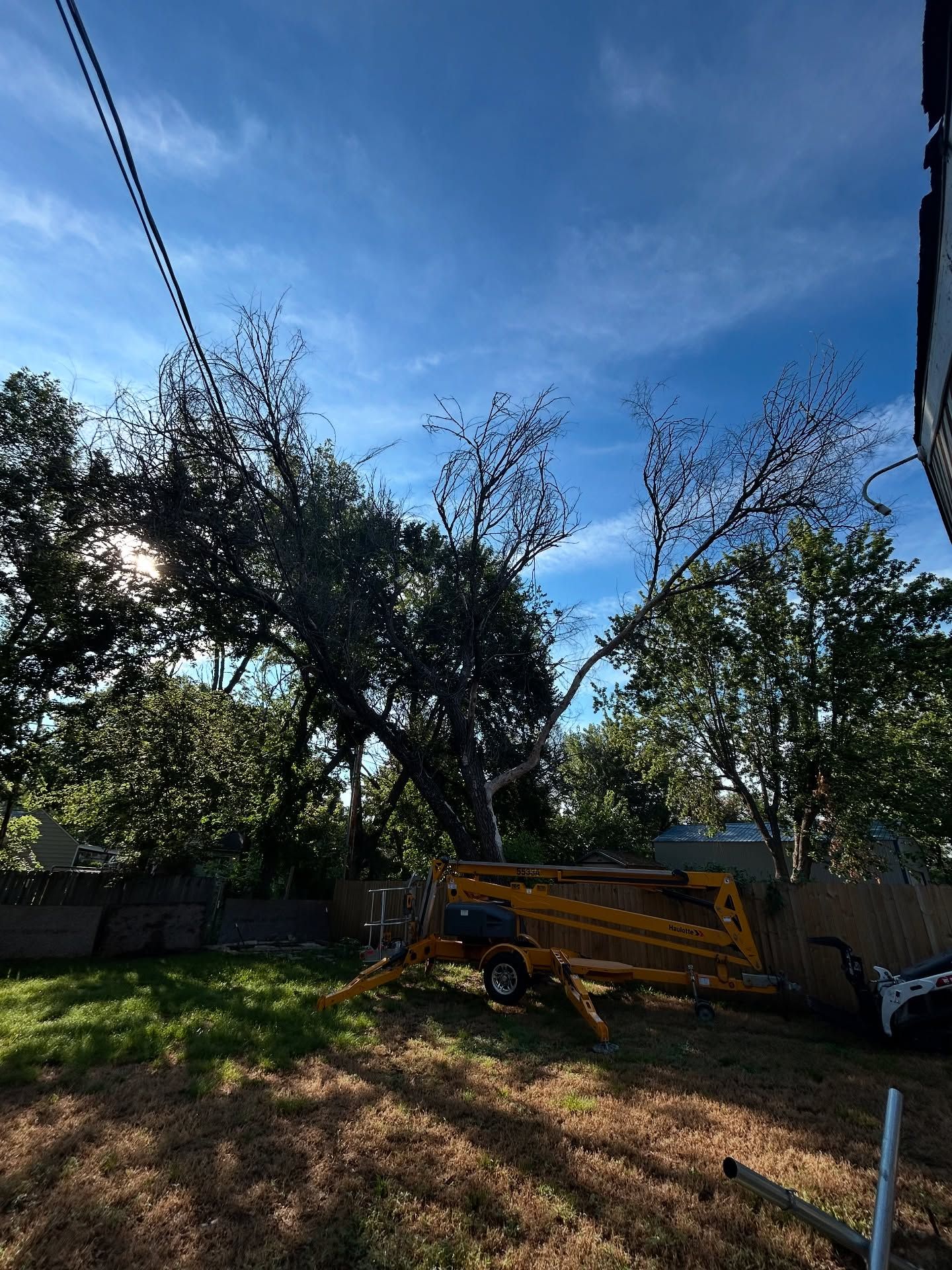 Backyard with trees, blue sky, and a yellow utility trailer in sunlight