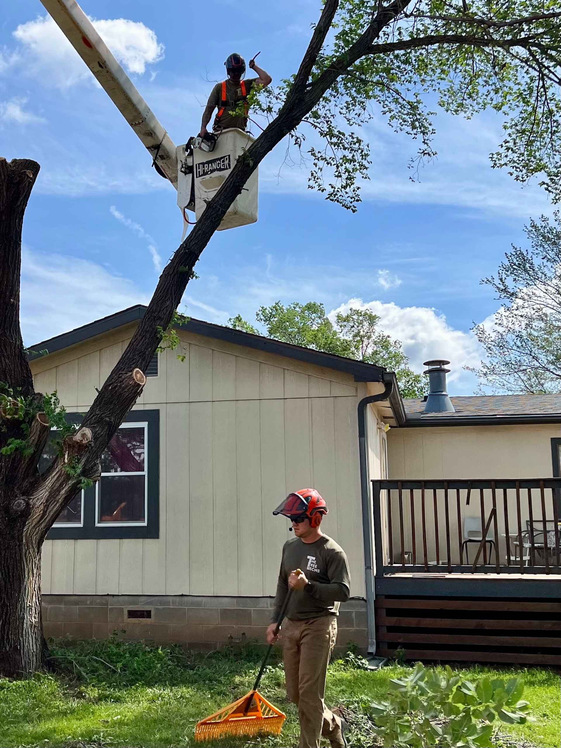 Tree trimmers in a bucket lift near a house, cutting a large tree limb in a yard.
