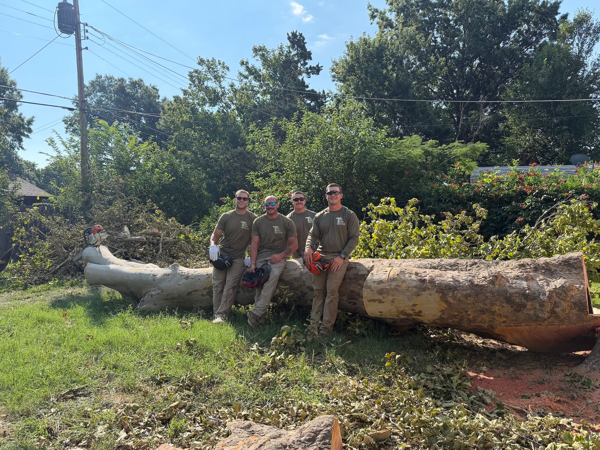Three people sitting on a large fallen tree trunk in a sunny grassy field with trees behind them
