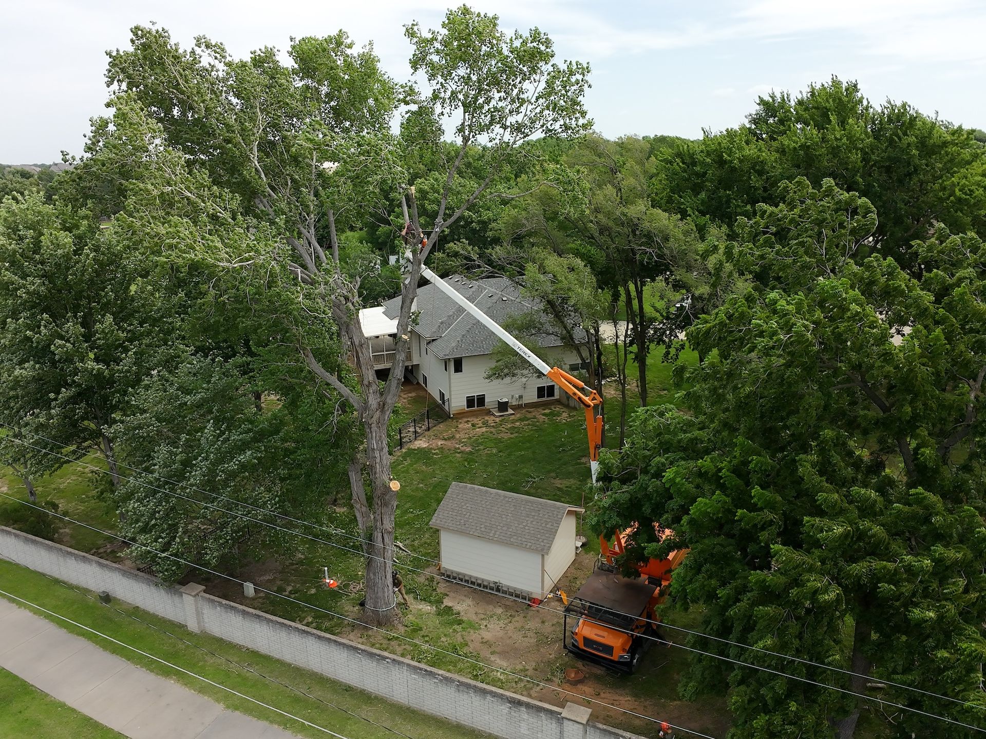 Tree service trimming a large backyard tree beside a house, with orange lift and truck near a shed.