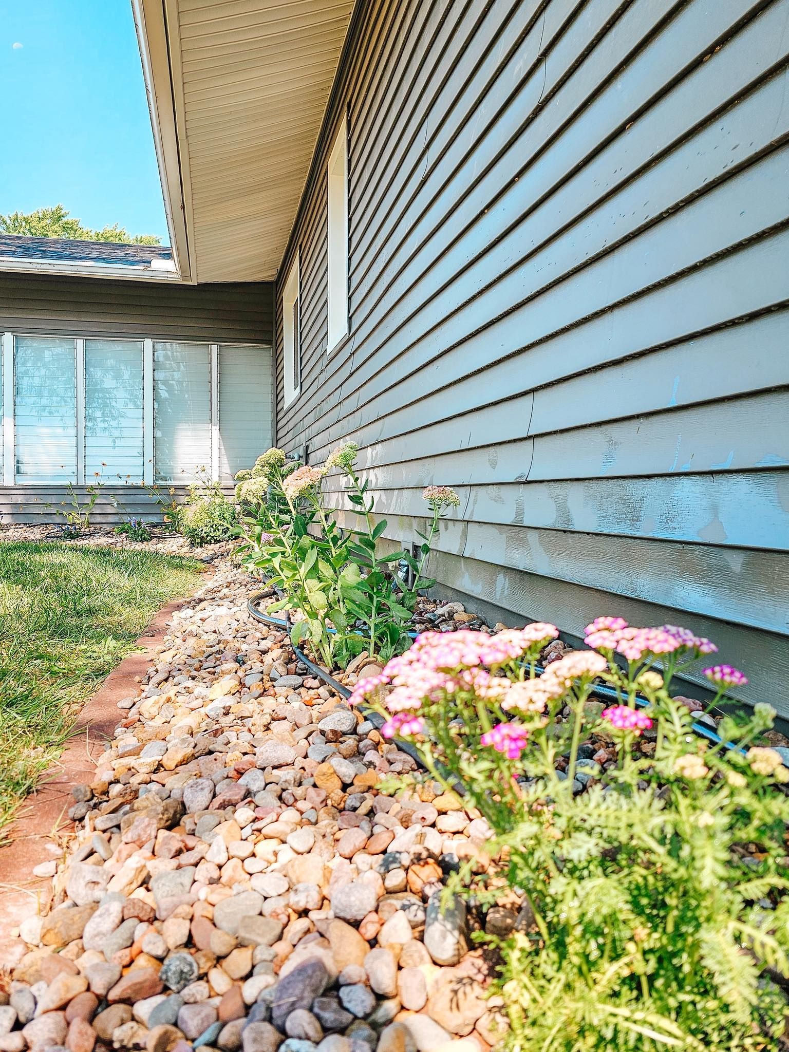 Side yard with gray house siding, rock mulch, and blooming pink flowers under a bright sky