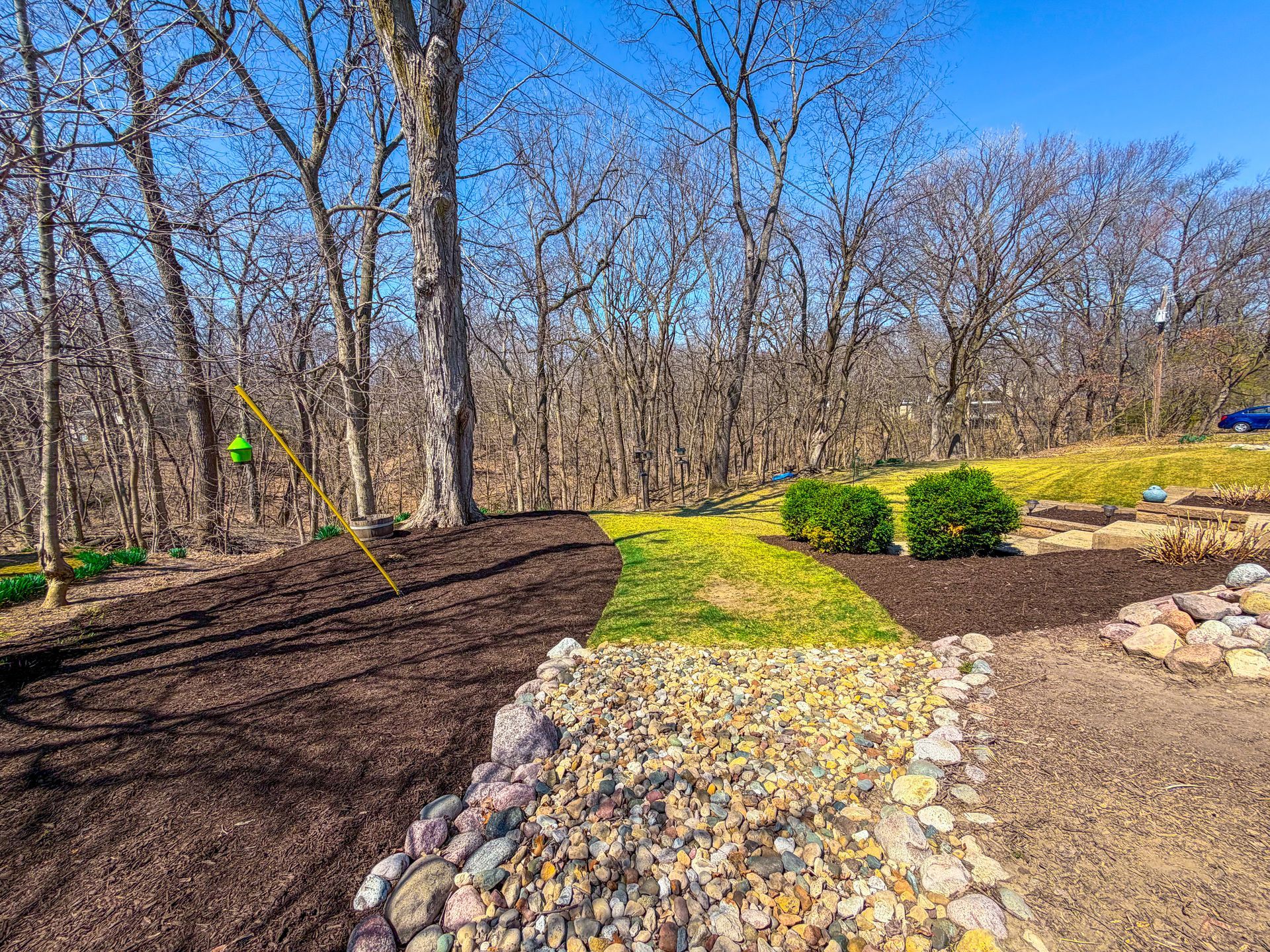 Woodland garden path with mulch beds, rocks, shrubs, and leafless trees on a sunny day
