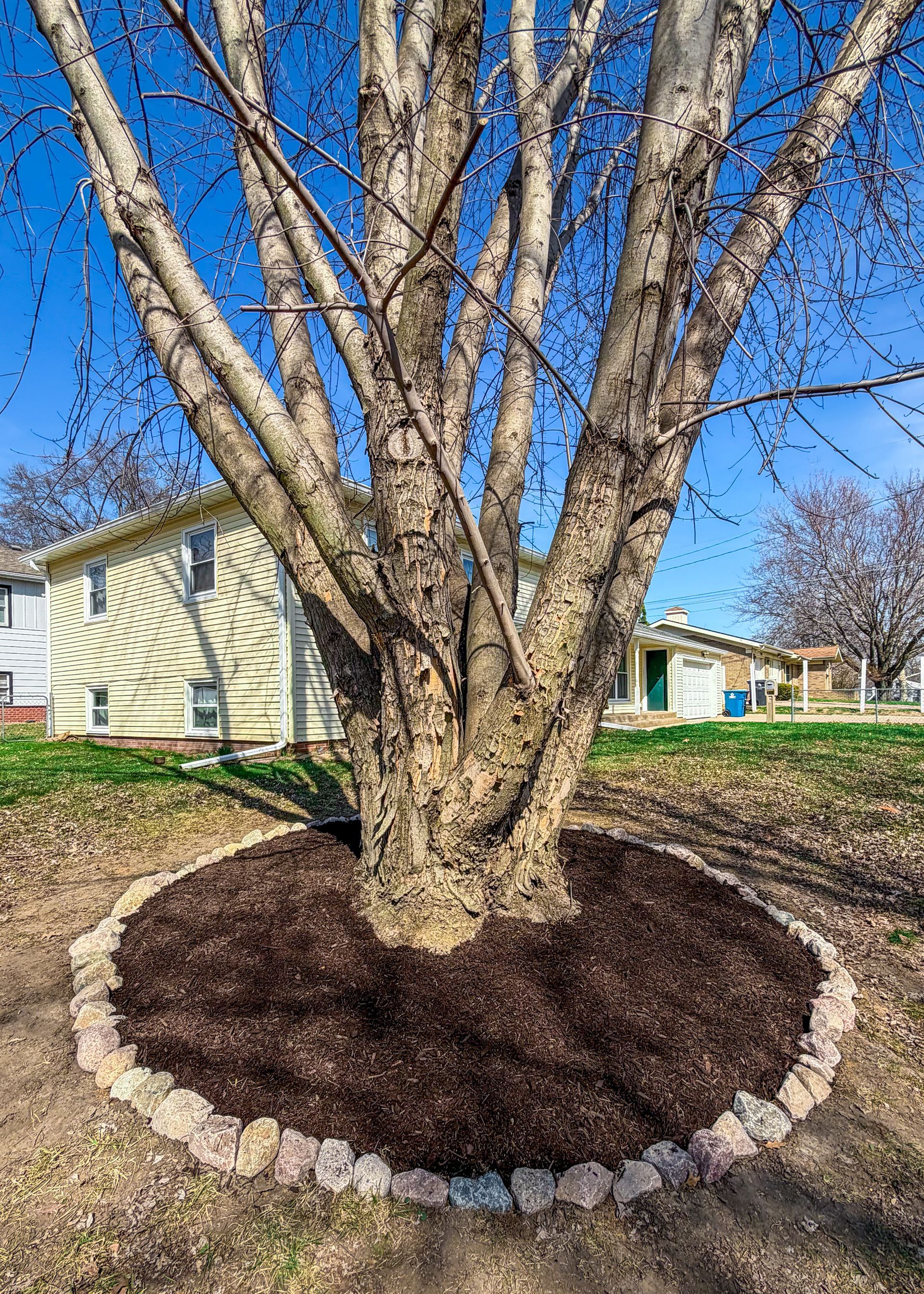 Mulched tree base encircled by stones in a suburban yard, with house and blue sky in the background