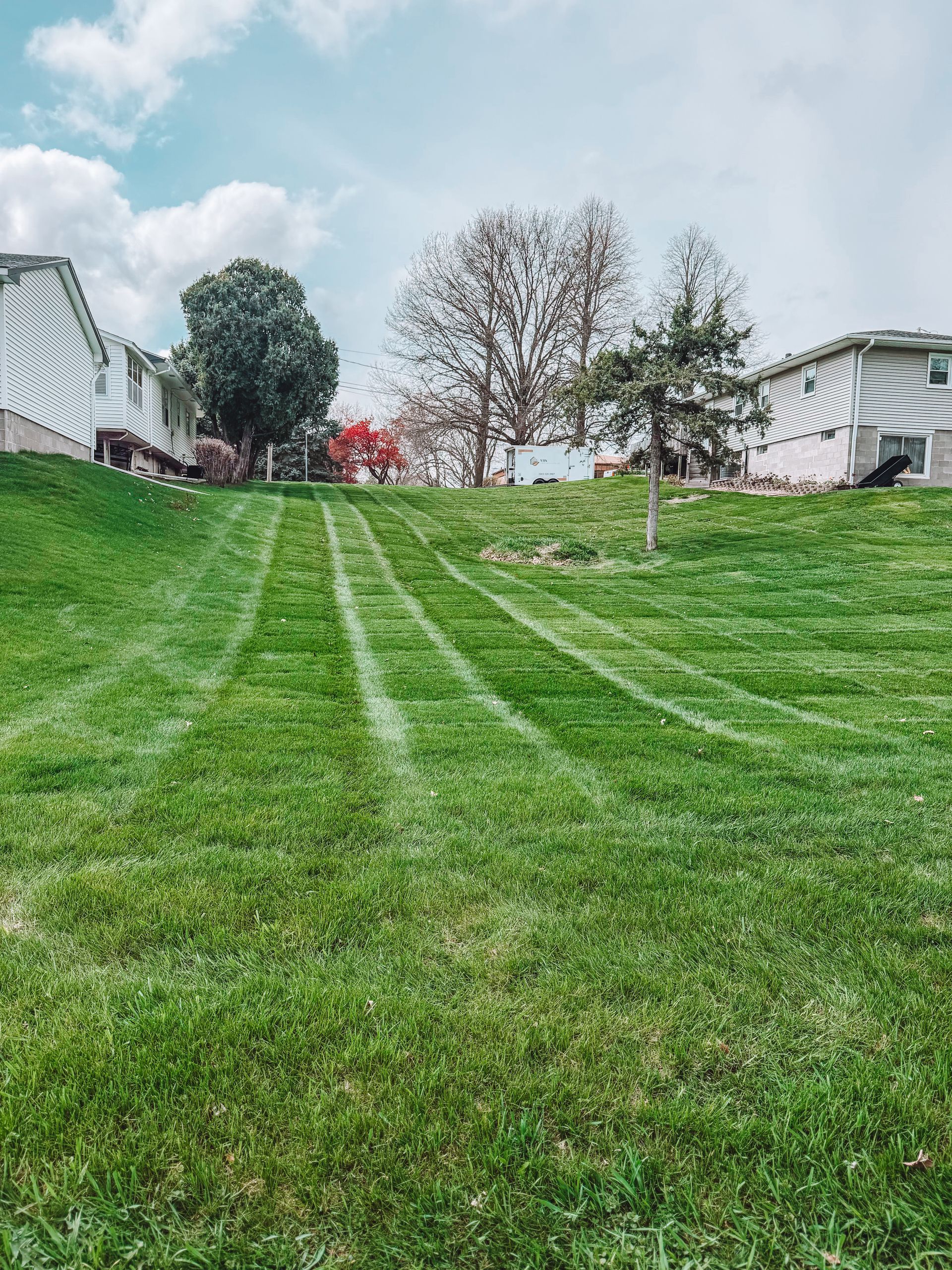 Grassy backyard hill with white tire tracks leading up to houses and trees under a cloudy sky