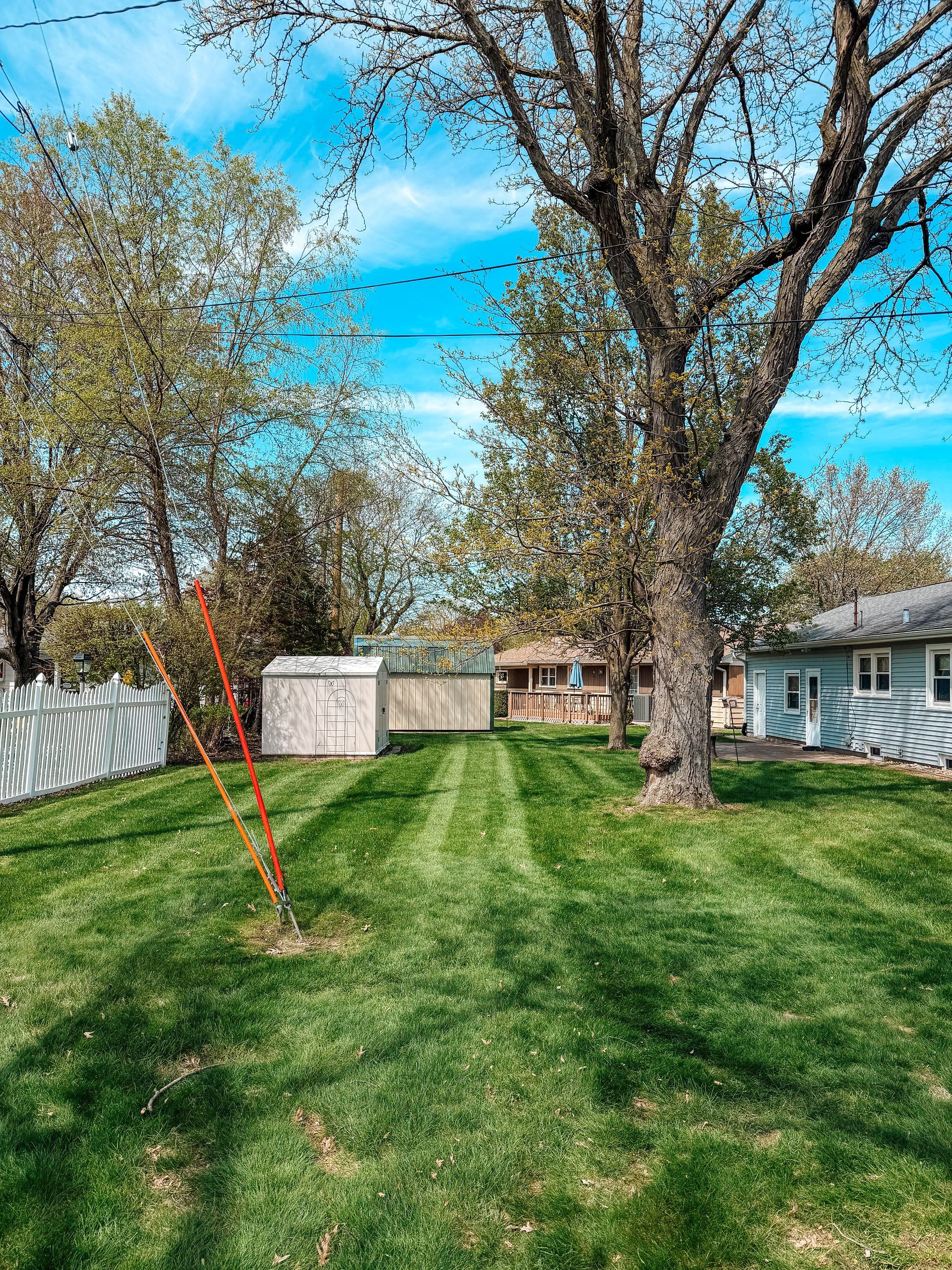 Grassy backyard with tall trees, sheds, and a blue sky beside a house