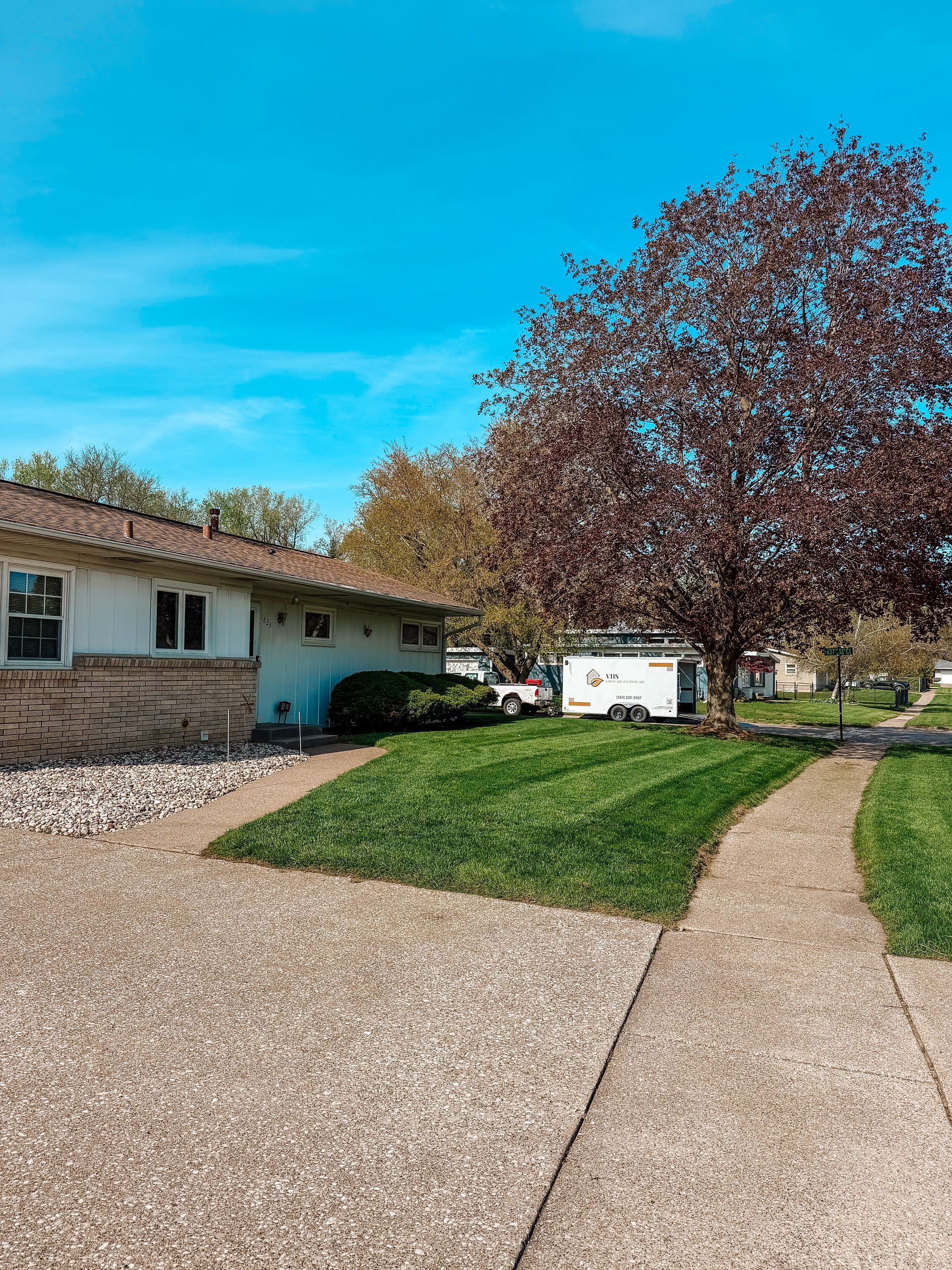 Suburban house with gravel driveway, green lawn, and a large burgundy tree under a blue sky