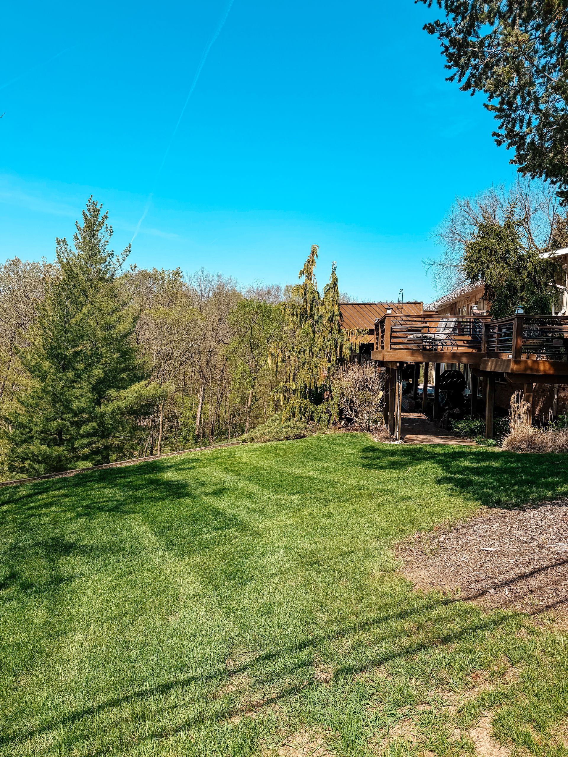 Sunny backyard with green lawn, trees, and a wooden deck under a clear blue sky.