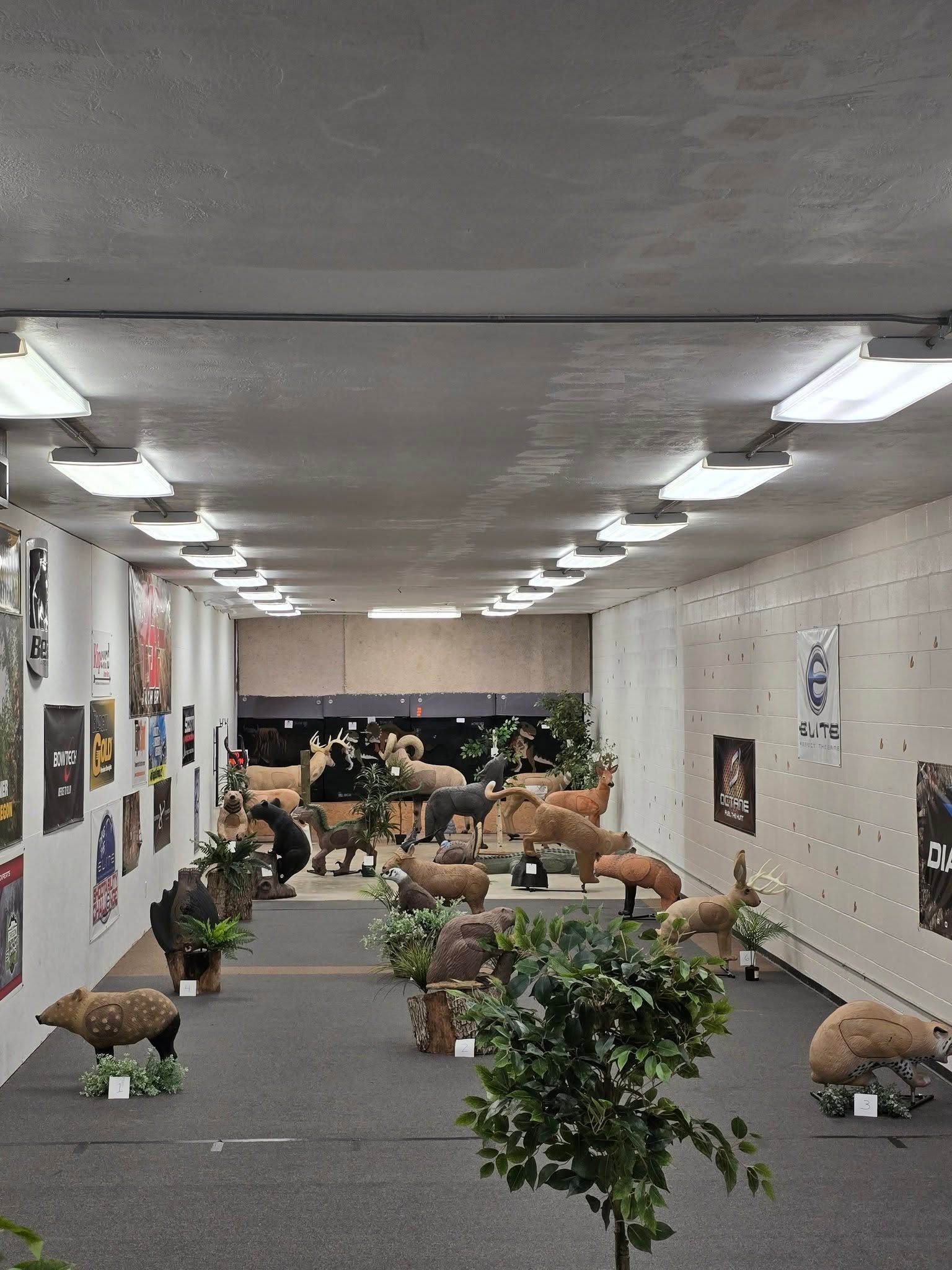 Taxidermy display room with mounted deer, bear, and other animals, plus plaques and a counter with dot patterns
