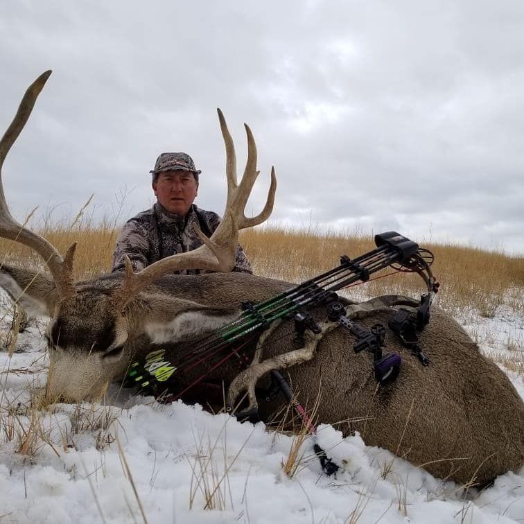 Hunter posing with a large elk in snowy grassland, bow visible on the animal.