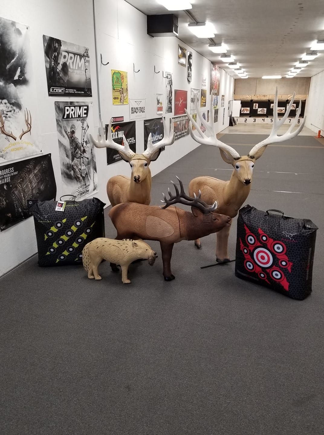 Mounted deer and a wolf display in a hallway with posters and patterned chairs.