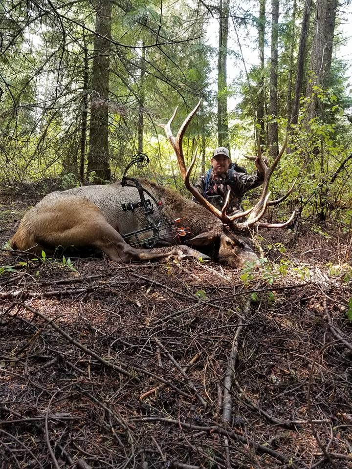 Hunter kneeling beside a dead elk in a forest, with large antlers and a rifle nearby.