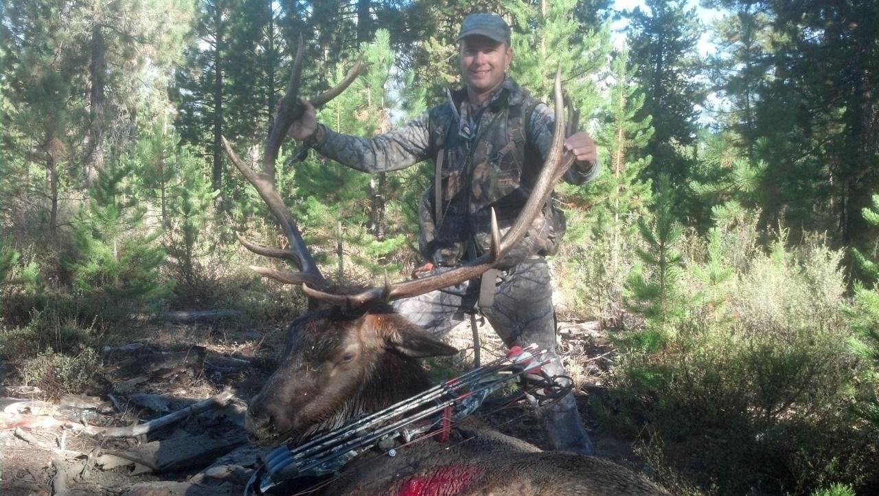 Hunter kneels beside a large elk in a forest, holding its antlers next to hunting gear.