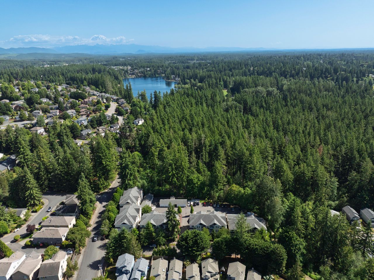 Photo of the overview of the area with a lake in the background