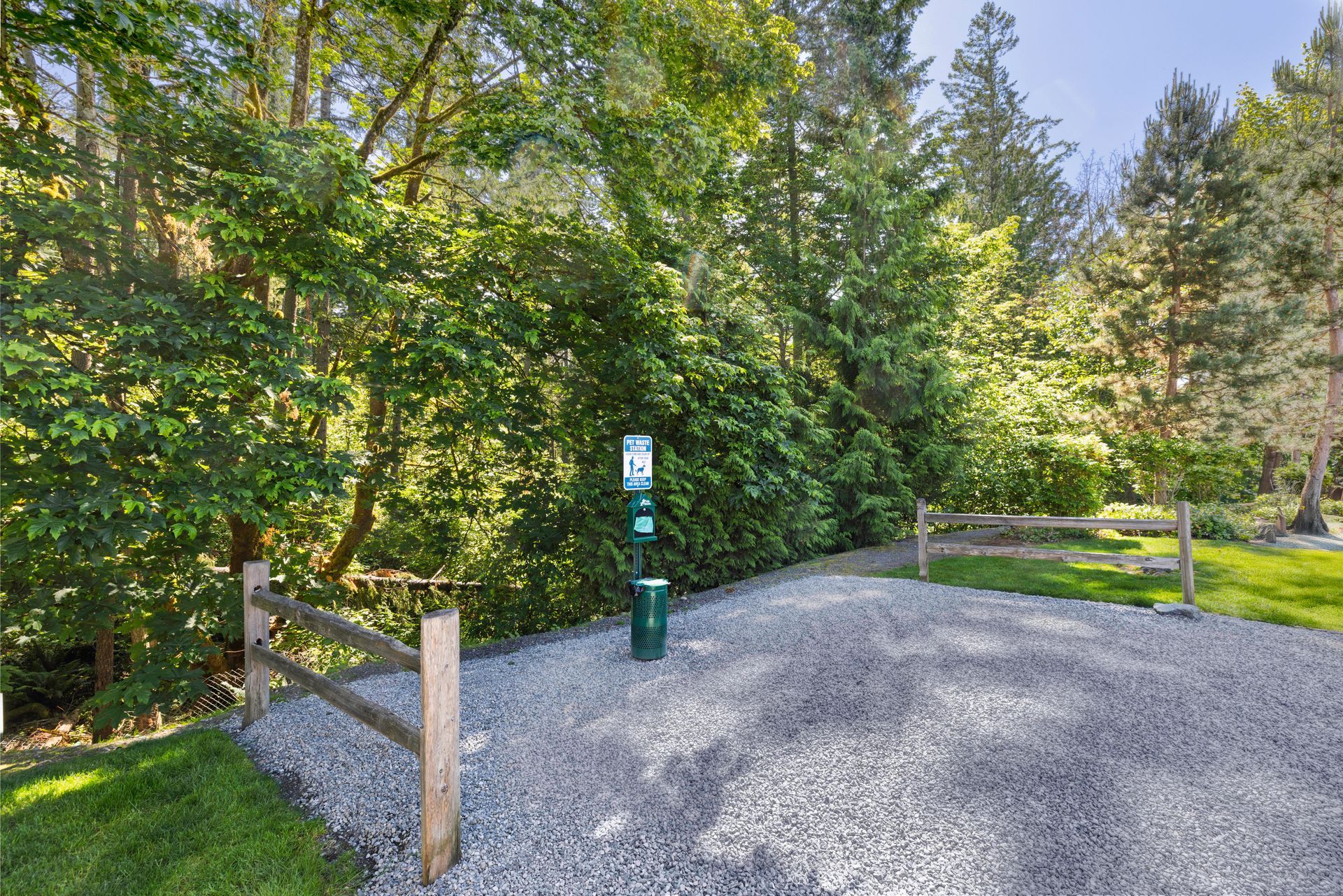 Photo of the dog park