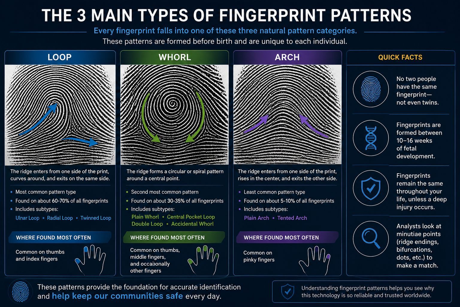 Educational guide showing loop, whorl, and arch fingerprint pattern types