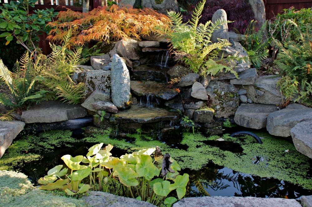 Landscape Hyd Landscapers Townsville | Baker & Co. Landscape Construction