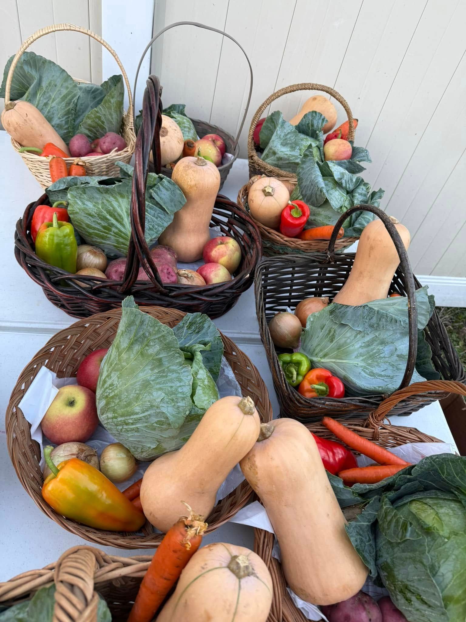 harvest food