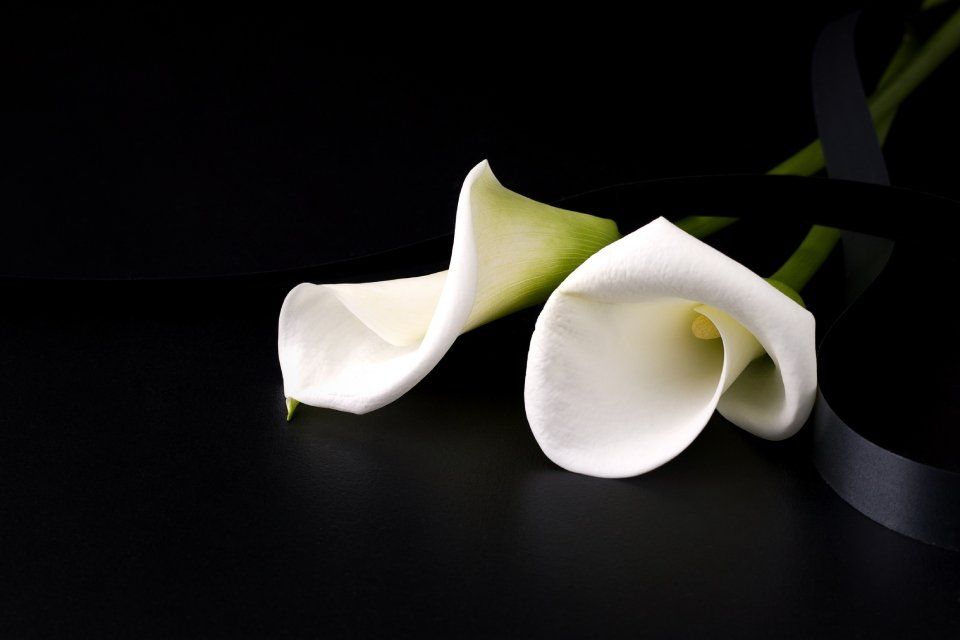 Fiori bianchi per funerale
