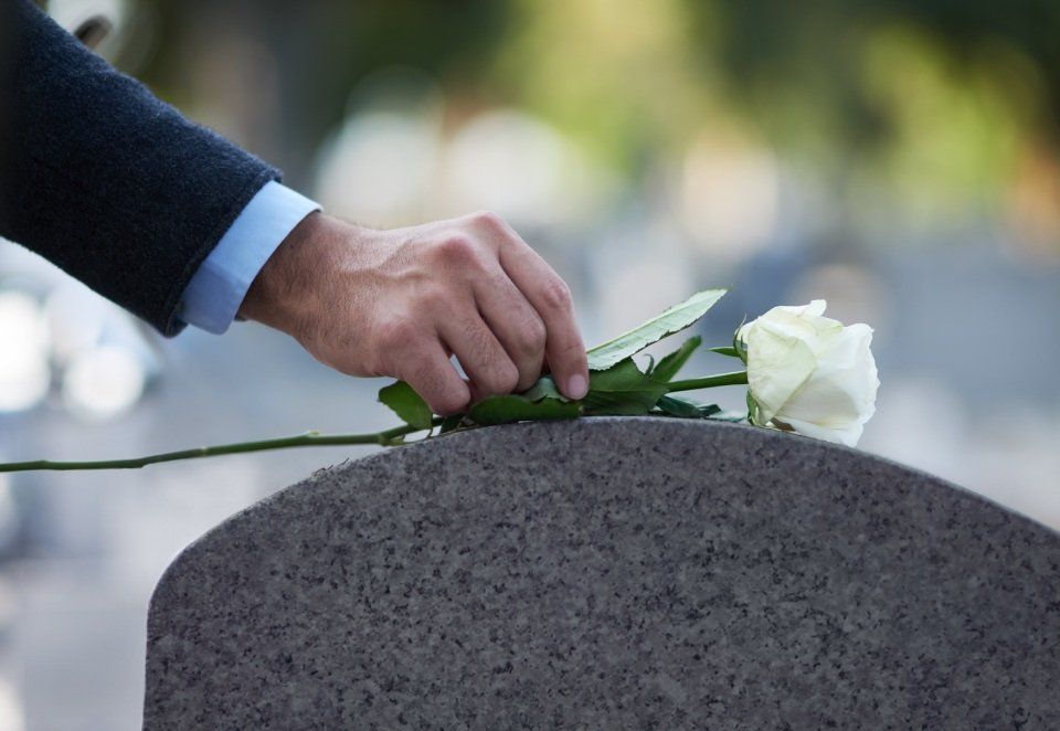 Fiore bianco su lapide