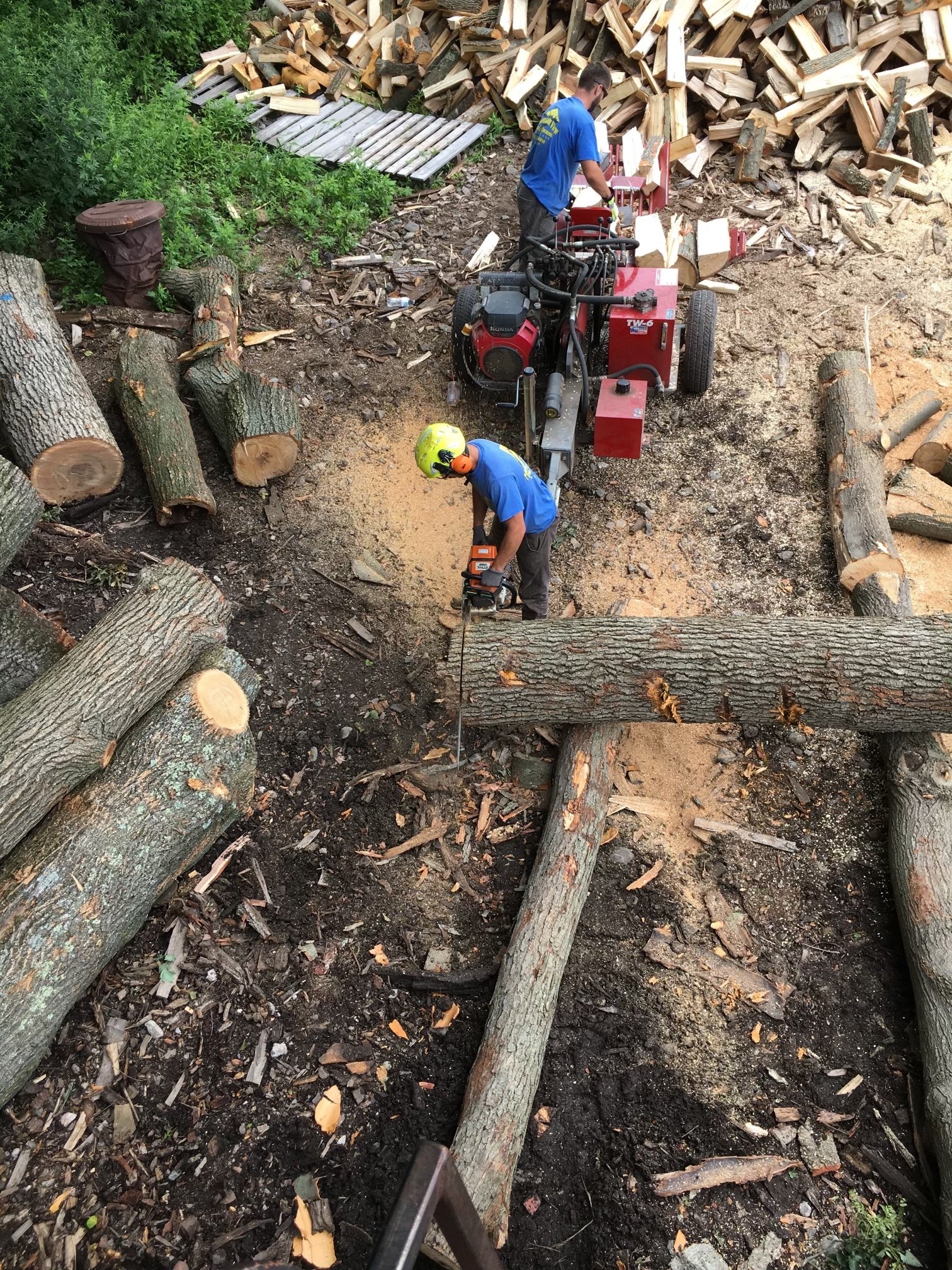 Firewood Delivery Wayne, NJ Mountain View Tree Service