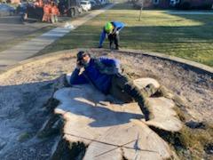 Man lying on broken tree — Wayne, NJ — Mountain View Tree Service