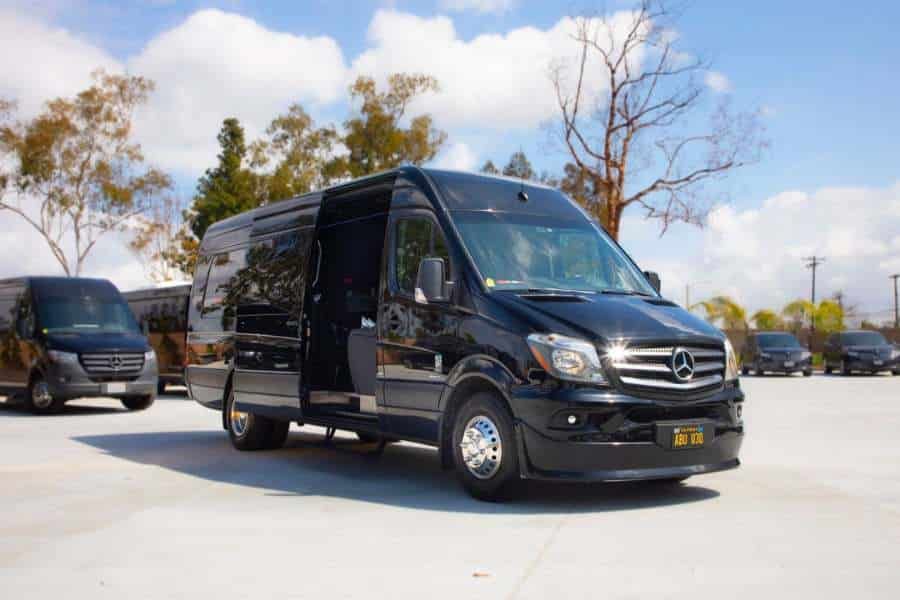 Black Mercedes passenger vans parked outdoors on a sunny lot
