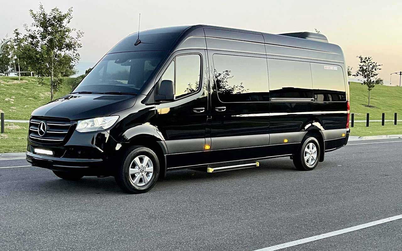 Black Mercedes passenger van parked on a roadside beside a grassy field at dusk