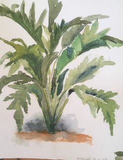 artisjok 24x32 cm