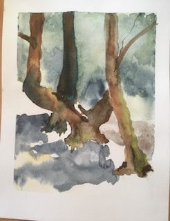 bomen bij de bron 24x32 cm