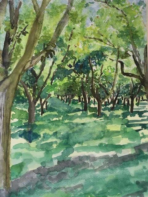 Boomgaard met notenbomen in Dordogne 40x50 cm 