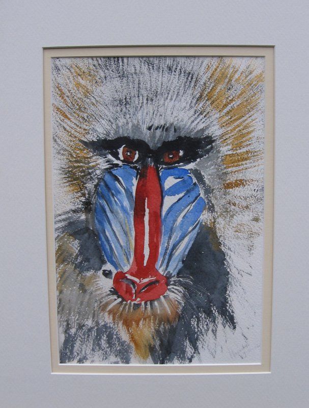 Baviaan - 53x43 cm