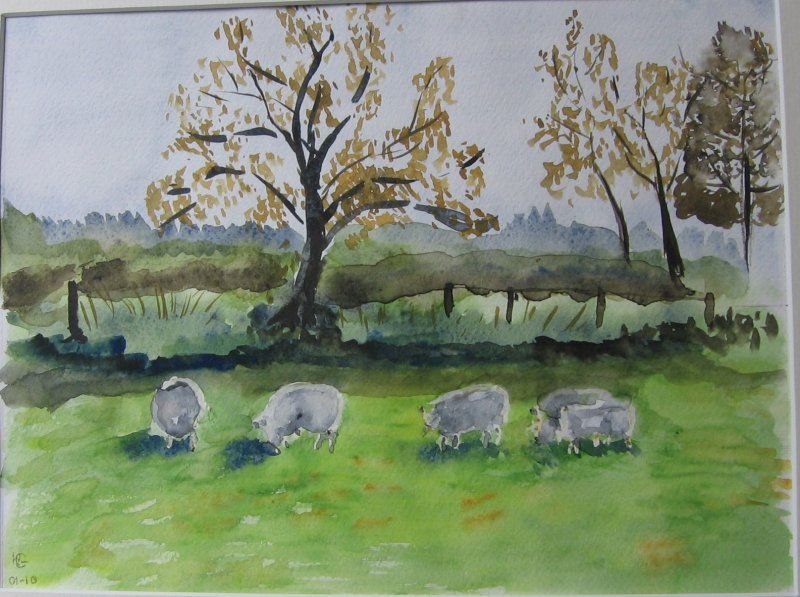 Landschap met schaapjes 40x50 cm