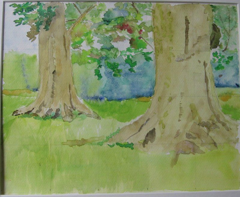 Twee beukenbomen 40x50 cm
