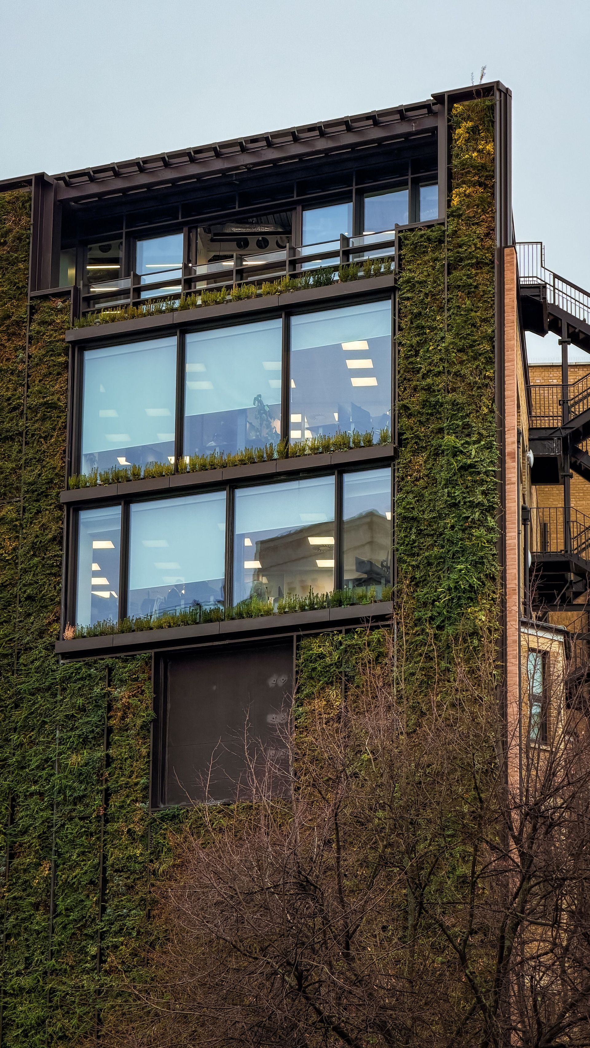Modern glass-fronted building covered in green ivy, with trees in the foreground