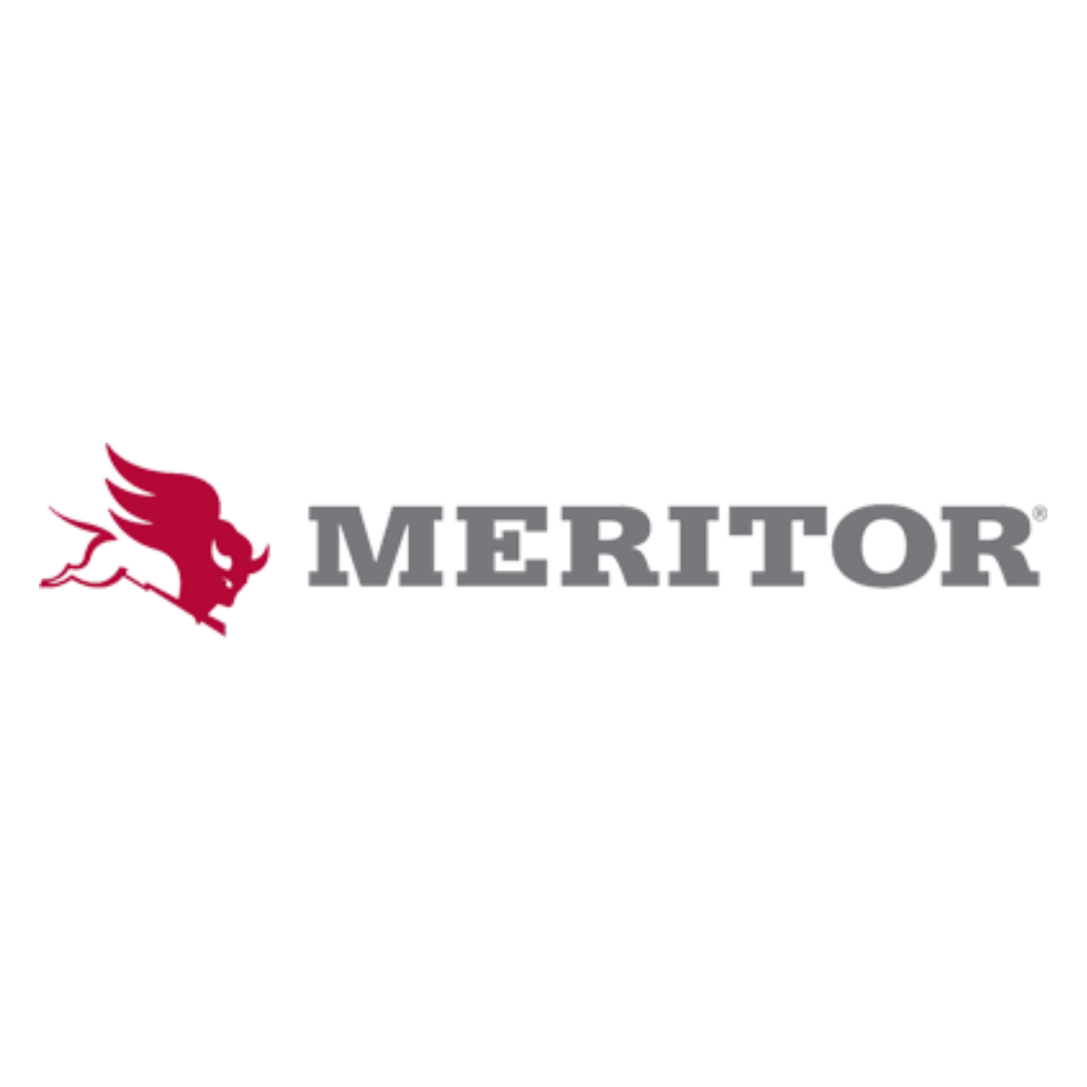 Red logo of a stylized bison with wings next to the gray word