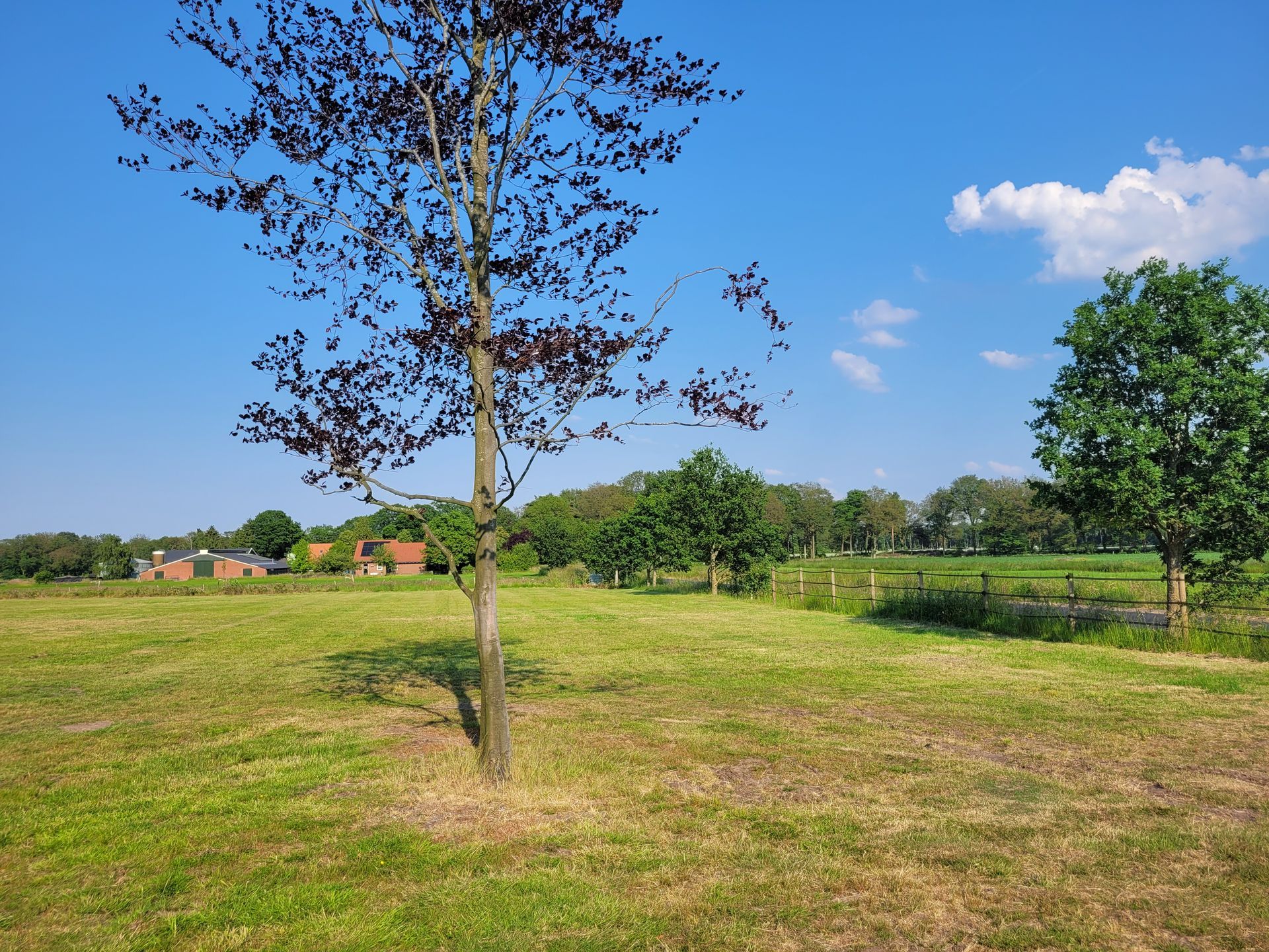 Secret Wellness | Lonneker | Uitzicht