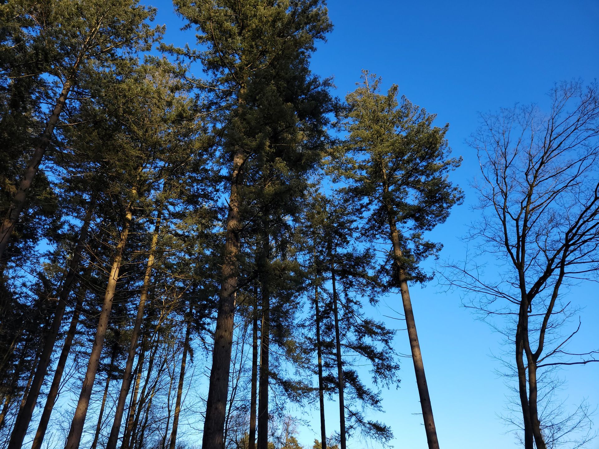 Secret Wellness | Natuur | Genieten