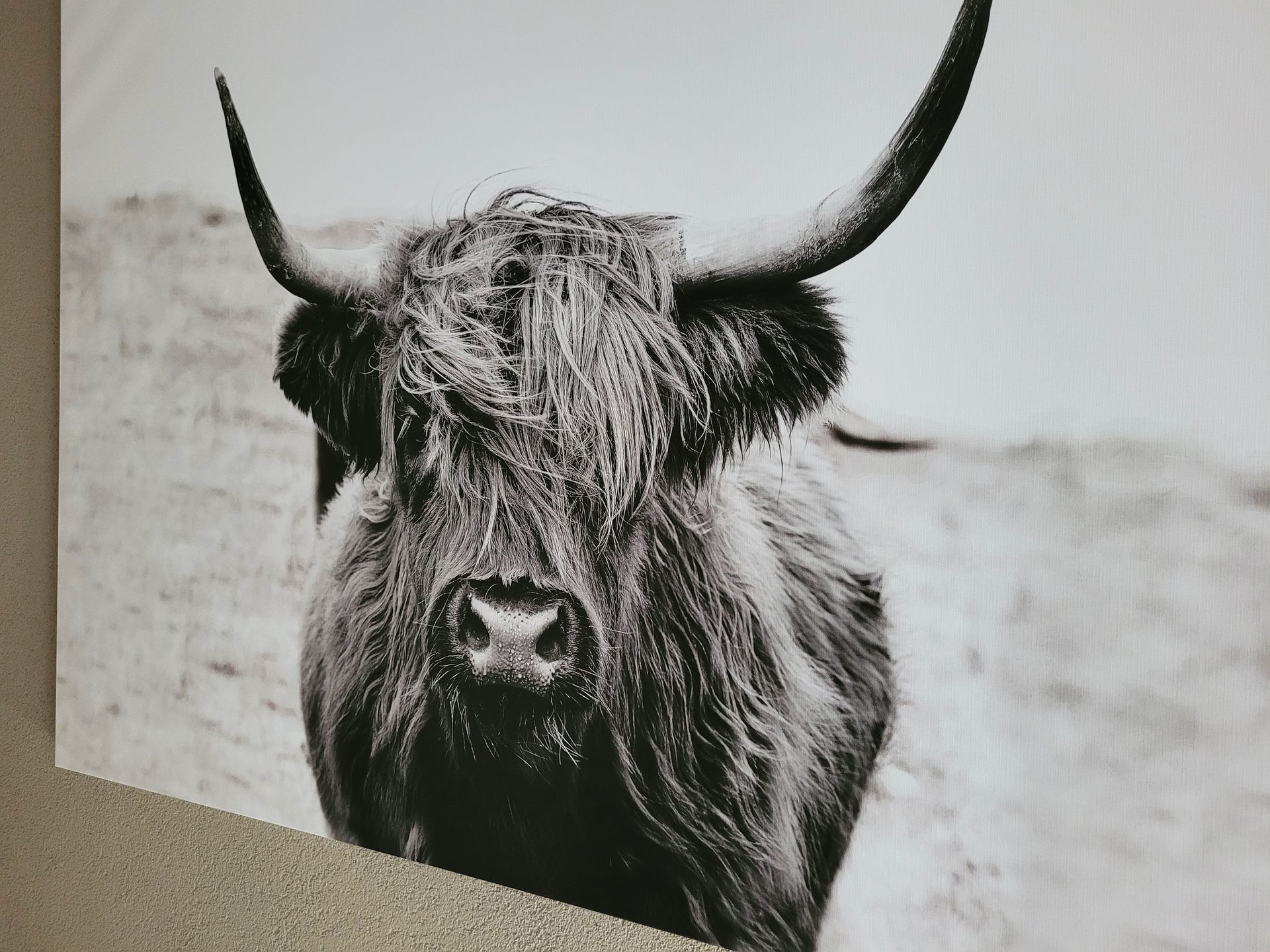Decoratie | Sfeervol | Natuur