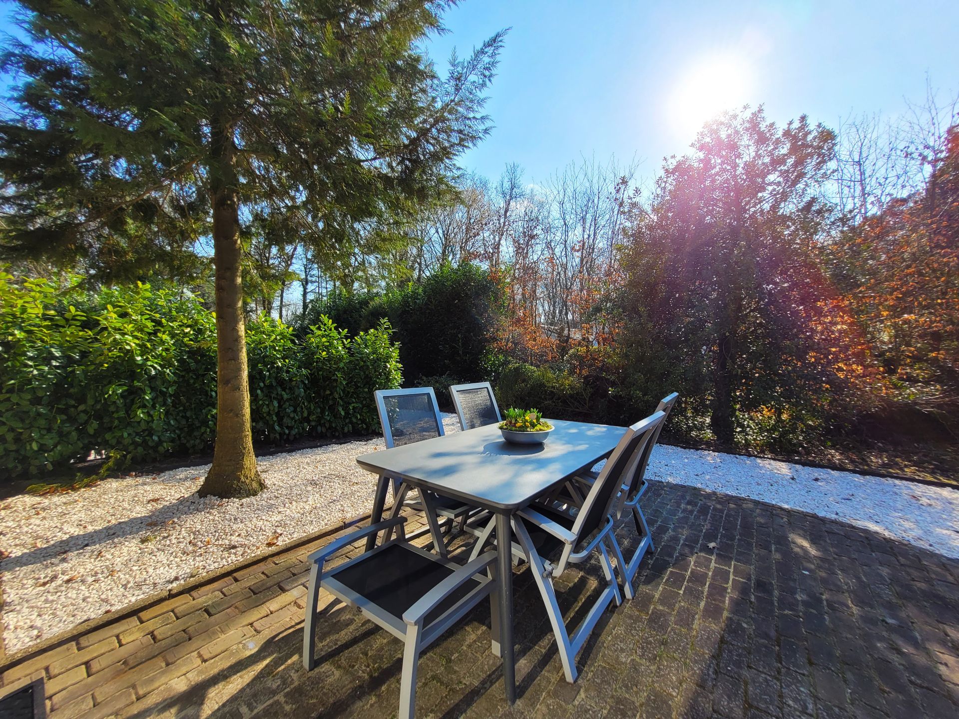 Heidezicht | Jacuzzi | Zonnige tuin | Tuinset | Genieten | Bos | Natuur