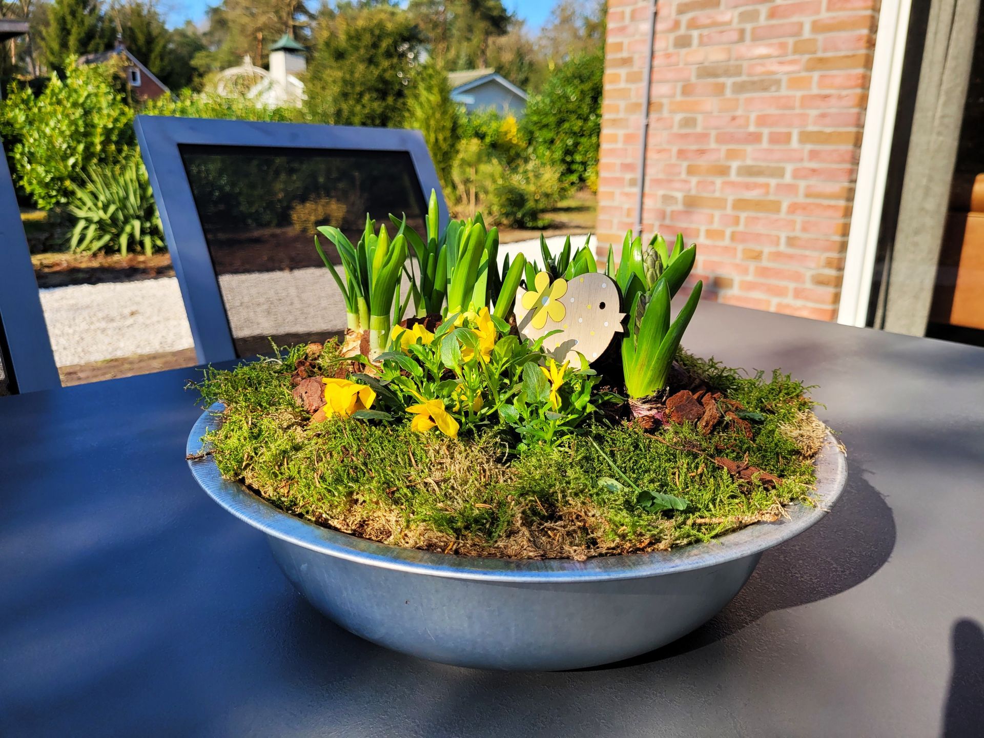 Heidezicht | Jacuzzi | Zonnige tuin | Tuinset | Genieten | Bos | Natuur
